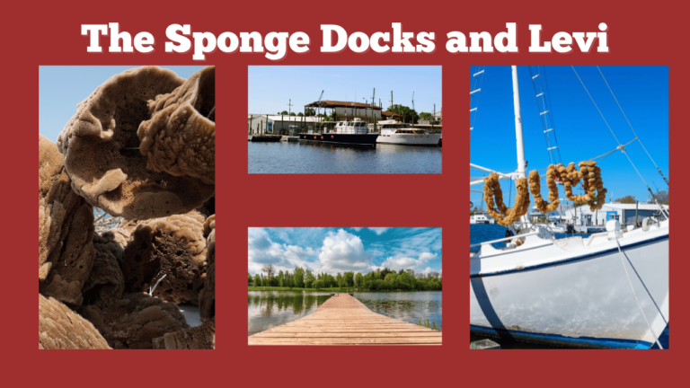 banner - the sponge docks and levi